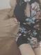 ����(����)